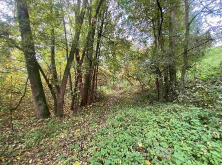 Prodej pozemku, ostatní, 1 003 m²