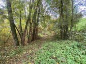 Prodej pozemku, ostatní, 1 003 m²