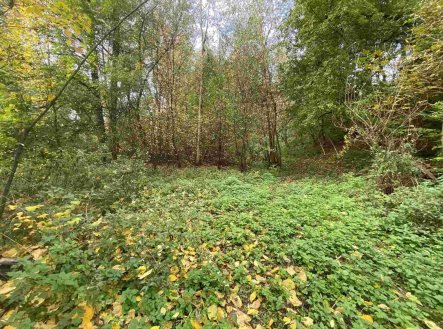 Prodej pozemku, ostatní, 1 003 m²