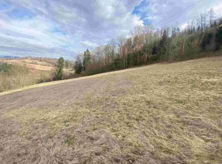 Prodej pozemku, zemědělská půda, 9 517 m²
