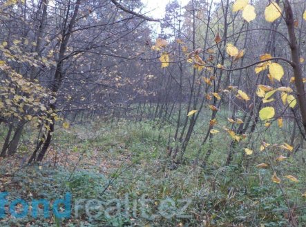 Prodej pozemku, ostatní, 3 946 m²