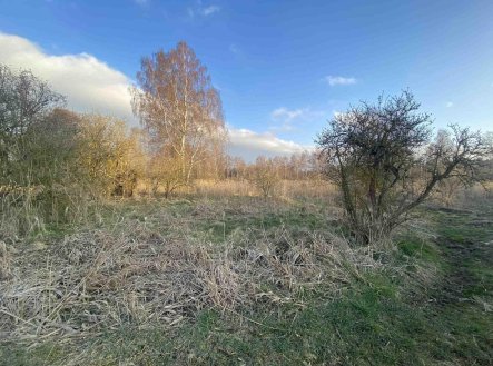 Prodej pozemku, zemědělská půda, 2 866 m²