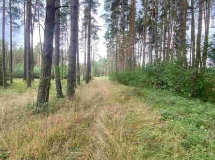 Prodej pozemku, ostatní, 1 744 m²