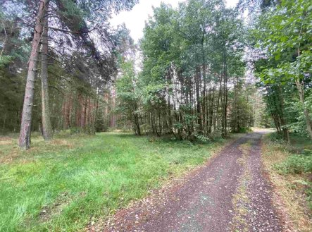 Prodej pozemku, ostatní, 1 744 m²