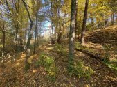 Prodej pozemku, zemědělská půda, 2 828 m²