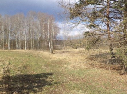 Prodej pozemku, ostatní, 117 m²