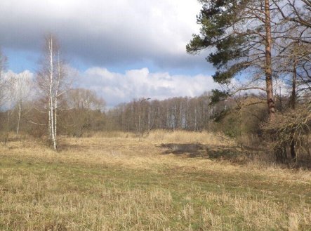 Prodej pozemku, ostatní, 117 m²