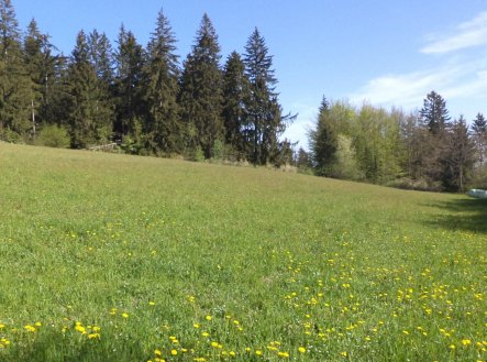 Prodej pozemku, zemědělská půda, 9 910 m²
