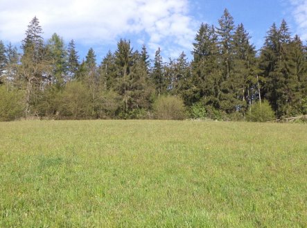Prodej pozemku, zemědělská půda, 9 910 m²