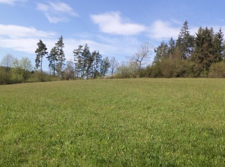 Prodej pozemku, zemědělská půda, 9 910 m²