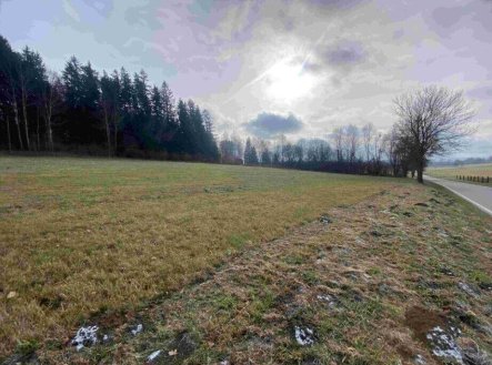 Prodej pozemku, zemědělská půda, 3 624 m²
