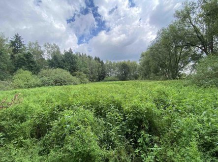 Prodej pozemku, vodní plocha, 6 751 m²