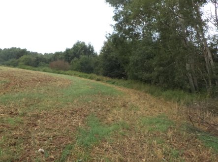 Prodej pozemku, ostatní, 1 834 m²
