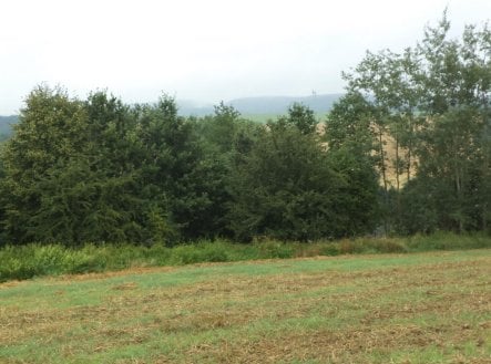 Prodej pozemku, ostatní, 1 834 m²