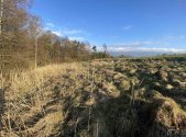 Prodej pozemku, zemědělská půda, 448 m²