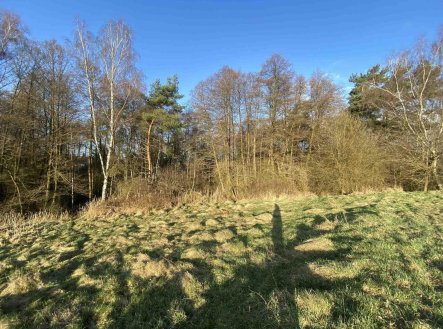 Prodej pozemku, zemědělská půda, 448 m²