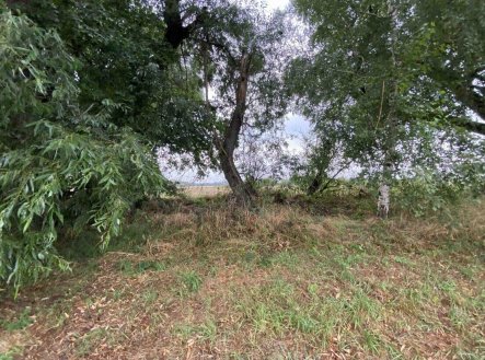 Prodej pozemku, ostatní, 173 m²