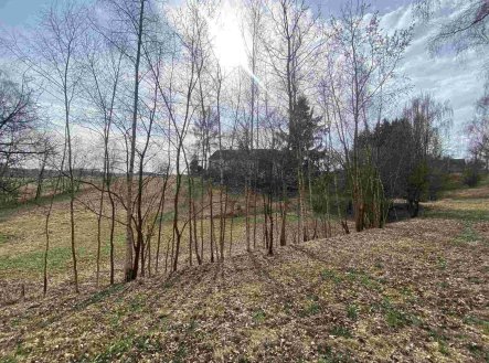 Prodej pozemku pro bydlení, 2 407 m²
