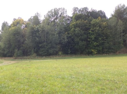 Prodej pozemku, zemědělská půda, 5 912 m²