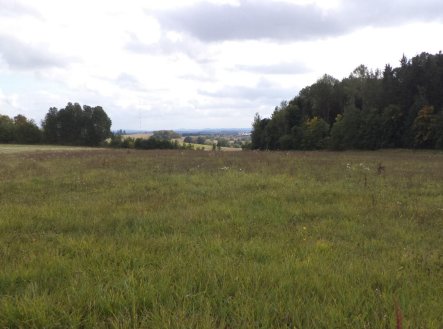 Prodej pozemku, zemědělská půda, 5 912 m²