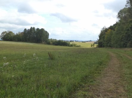 Prodej pozemku, zemědělská půda, 5 912 m²