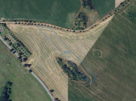 Prodej pozemku, zemědělská půda, 11 943 m²