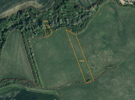 Prodej pozemku, zemědělská půda, 6 524 m²