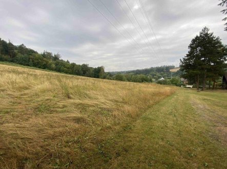 Prodej pozemku, trvalý travní porost, 1 160 m²
