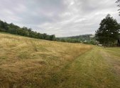 Prodej pozemku, trvalý travní porost, 1 160 m²