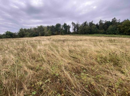 Prodej pozemku, trvalý travní porost, 1 160 m²