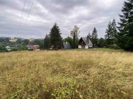 Prodej pozemku, trvalý travní porost, 1 160 m²
