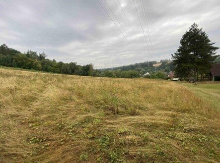 Prodej pozemku, trvalý travní porost, 1 160 m²