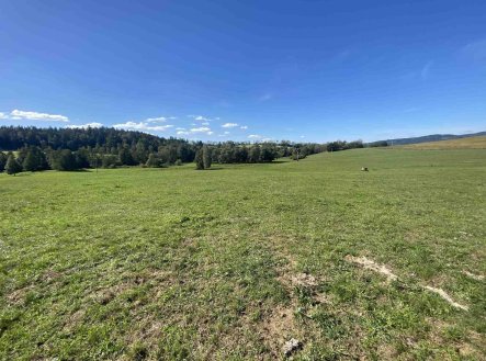 Prodej pozemku, zemědělská půda, 9 226 m²