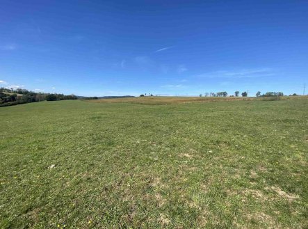 Prodej pozemku, zemědělská půda, 9 226 m²