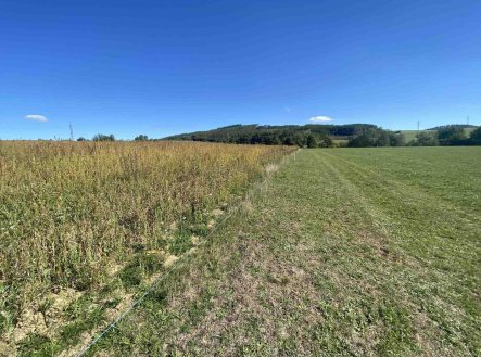 Prodej pozemku, zemědělská půda, 9 226 m²