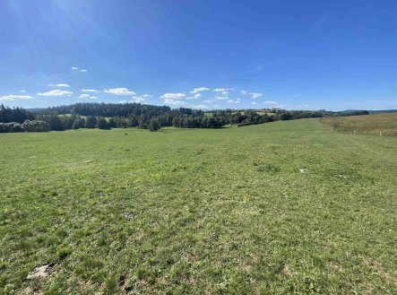 Prodej pozemku, zemědělská půda, 9 226 m²