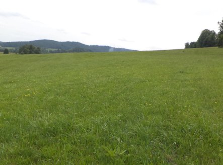 Prodej pozemku, ostatní, 5 987 m²