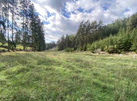 Prodej pozemku, zemědělská půda, 7 068 m²