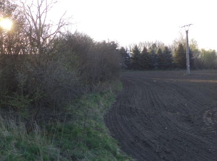 Prodej pozemku, zemědělská půda, 988 m²