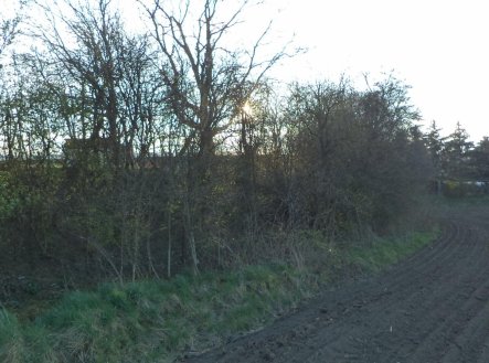 Prodej pozemku, zemědělská půda, 988 m²