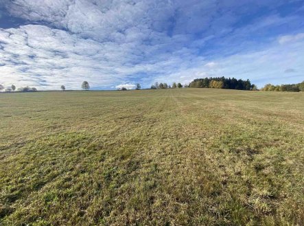 Prodej pozemku, zemědělská půda, 2 180 m²