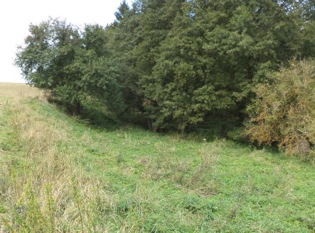 Prodej pozemku, zemědělská půda, 58 887 m²