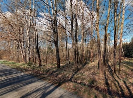 Prodej pozemku pro bydlení, 2 618 m² obrázek