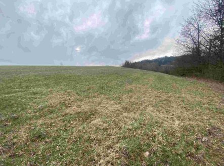 Prodej pozemku, zemědělská půda, 14 714 m²