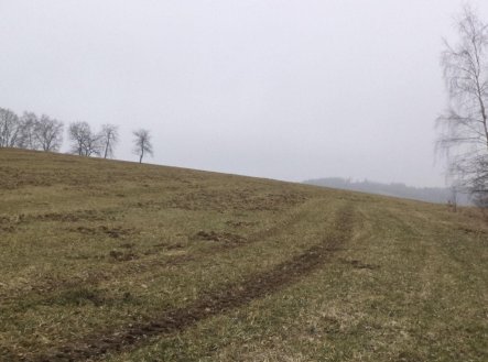 Prodej pozemku, zemědělská půda, 9 983 m²