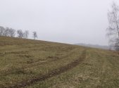 Prodej pozemku, zemědělská půda, 9 983 m²
