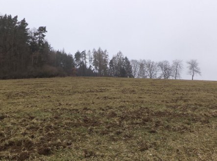 Prodej pozemku, zemědělská půda, 9 983 m²