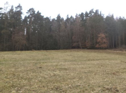 Prodej pozemku, zemědělská půda, 9 983 m²