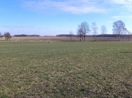 Prodej pozemku, zemědělská půda, 5 200 m²