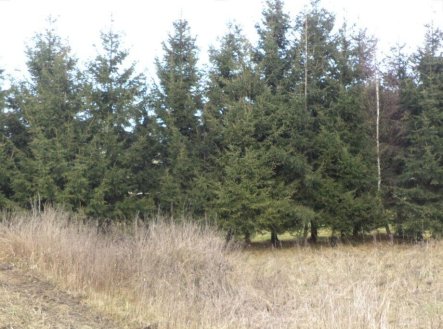 Prodej pozemku, ostatní, 1 390 m²